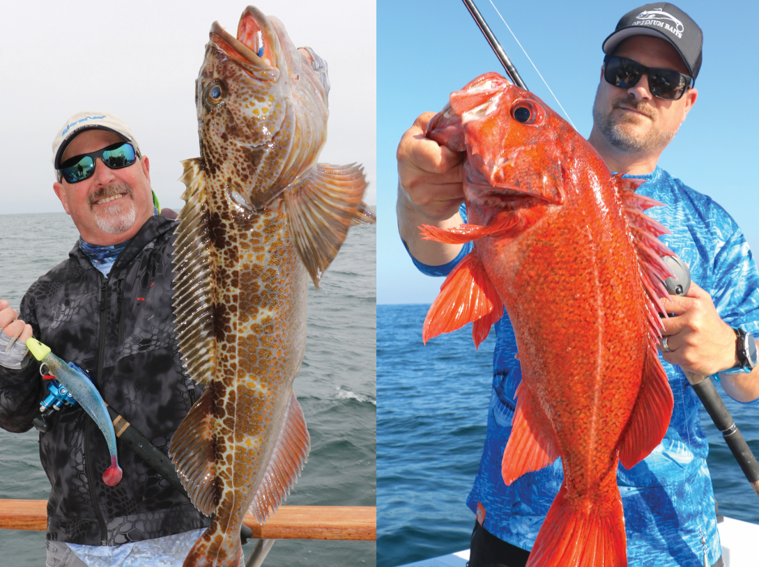 2025 CCA SportFishing Tide Calendar (FREE SHIPPING)