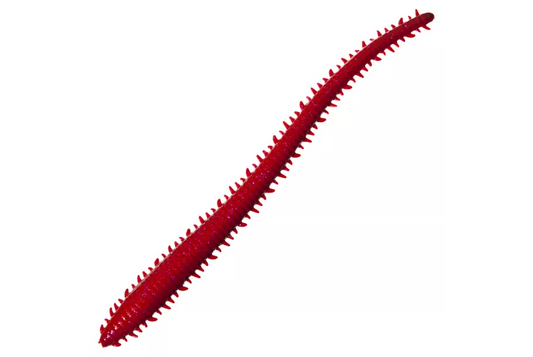 Berkley Gulp! 2" Bloody Sandworm 24ct