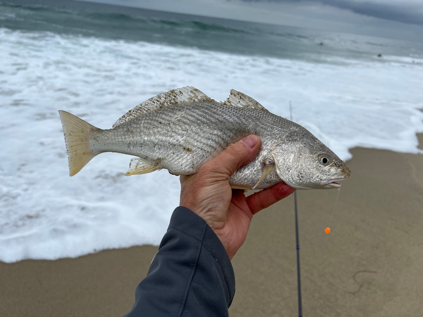 DuraScent ORANGE Surf Fishing Eggs