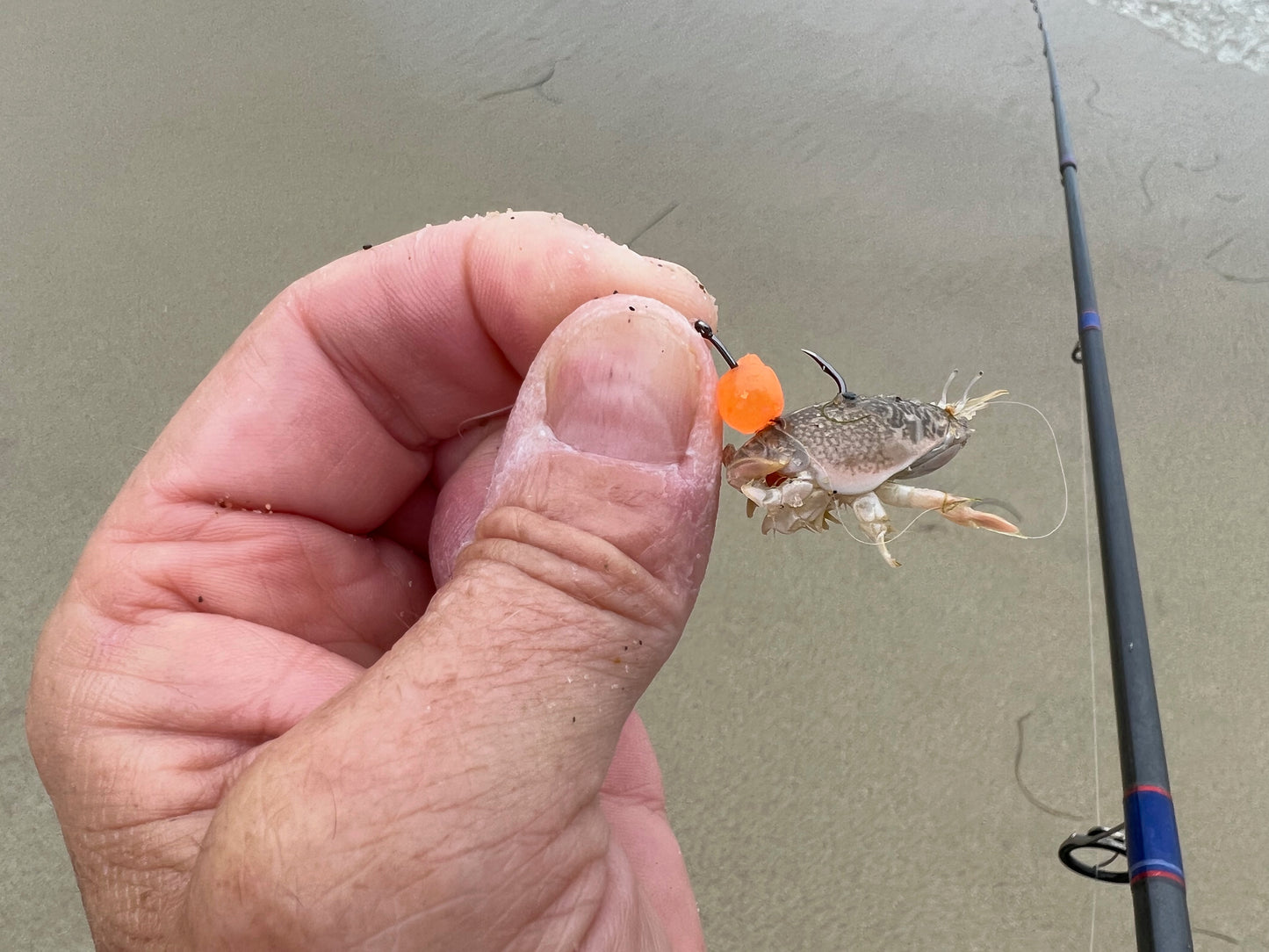 DuraScent ORANGE Surf Fishing Eggs