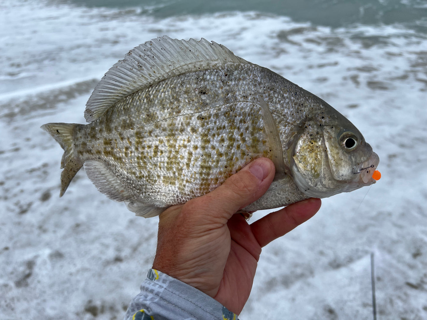 DuraScent ORANGE Surf Fishing Eggs