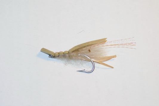 Disco Shrimp, Size #2
