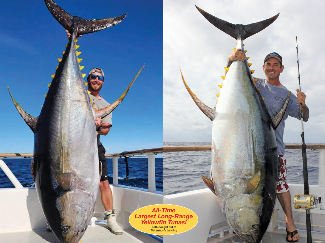 2026 CCA SportFishing Tide Calendar (Pack of 5--FREE SHIPPING)