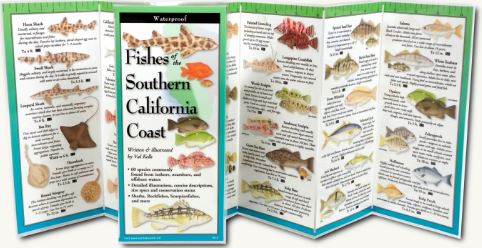 Fishes of the Southern California Coast